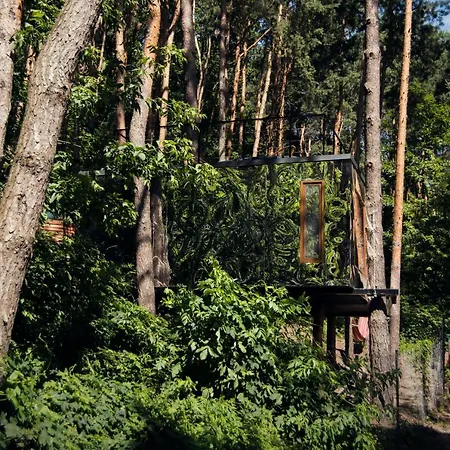 Dom wakacyjny Nad Narvią - Lustrzany Dom Na Drzewach