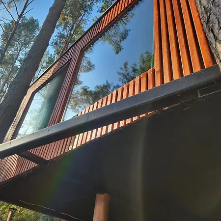 Nad Narvia - Dom Na Drzewie Casa vacanze